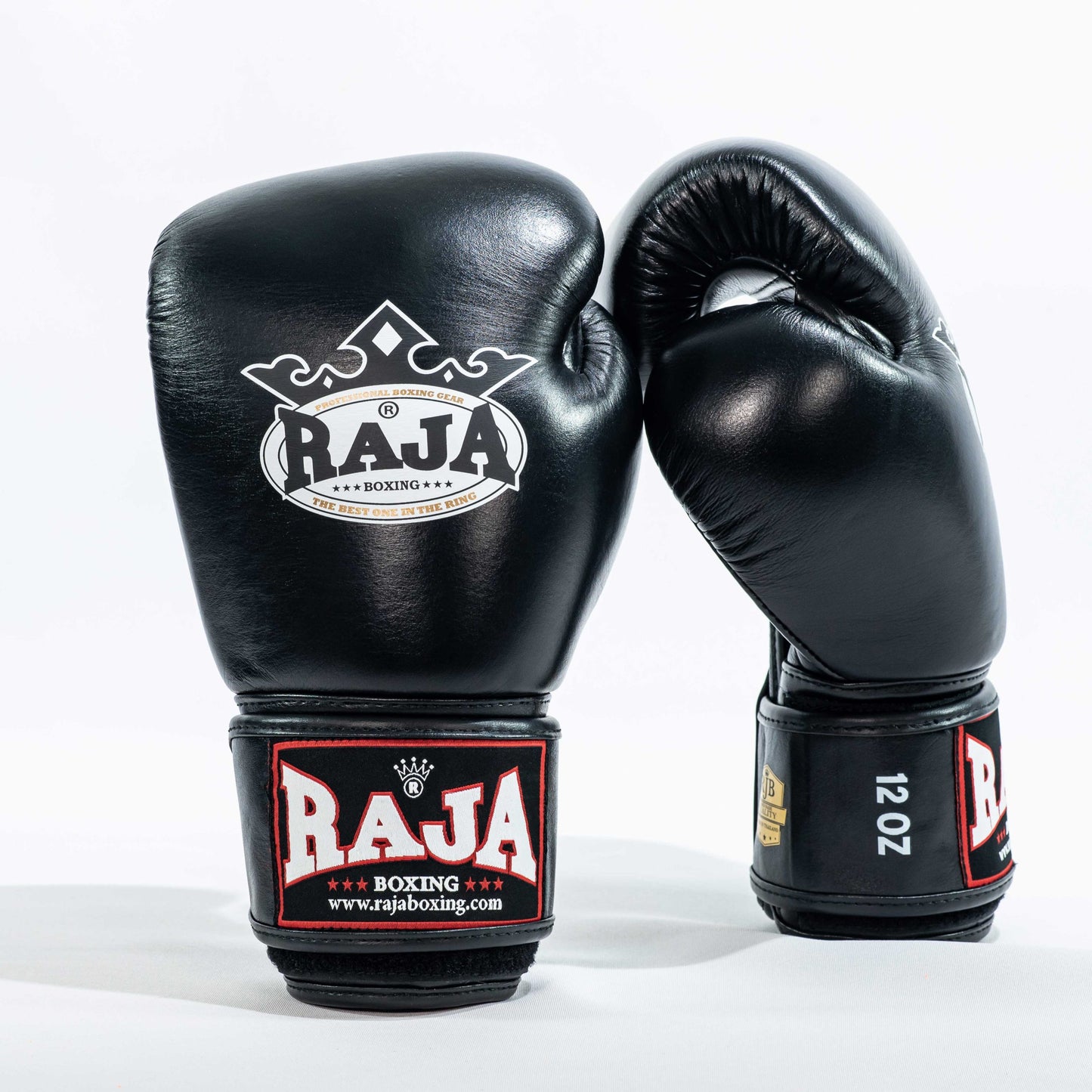 Raja V1 Boxing Gloves - Black