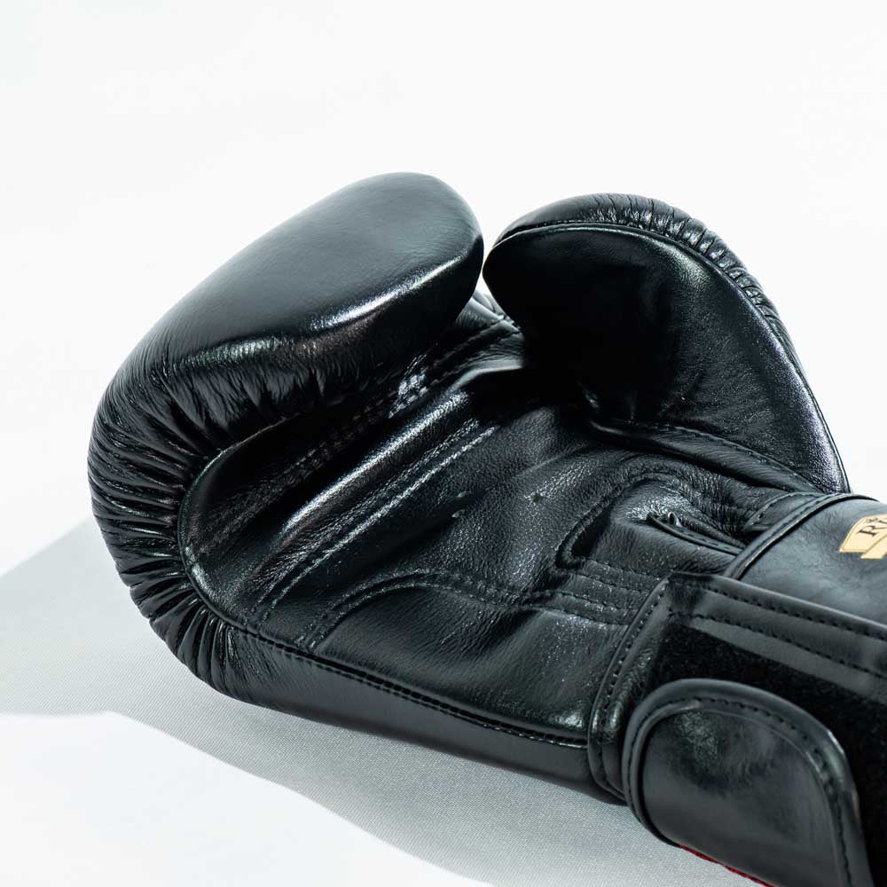 Raja V1 Boxing Gloves - Black