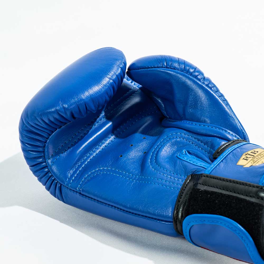 Raja V1 Boxing Gloves - Blue