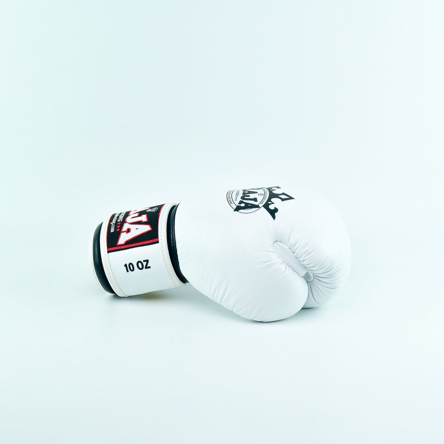 Raja V1 Boxing Gloves - White