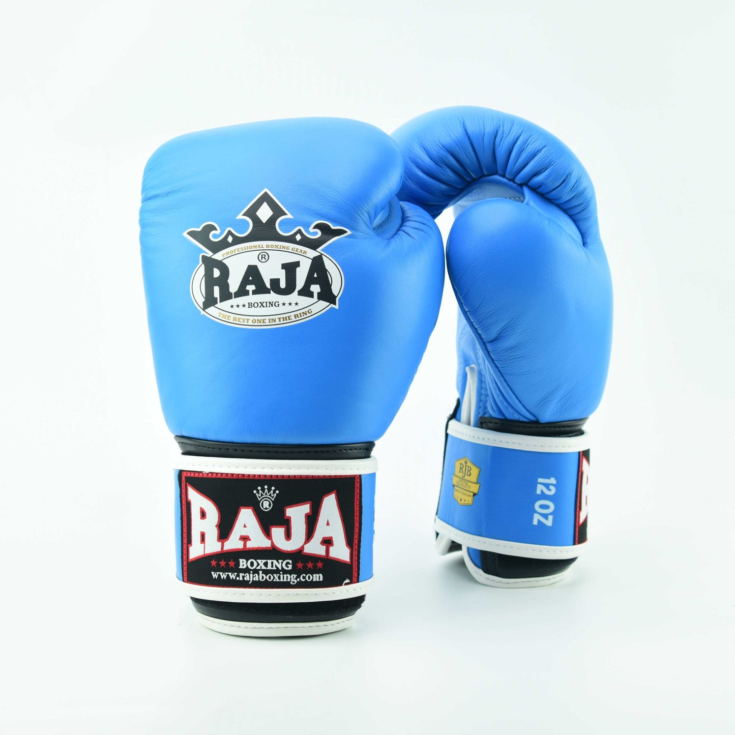 Raja V1 Boxing Gloves - Light Blue