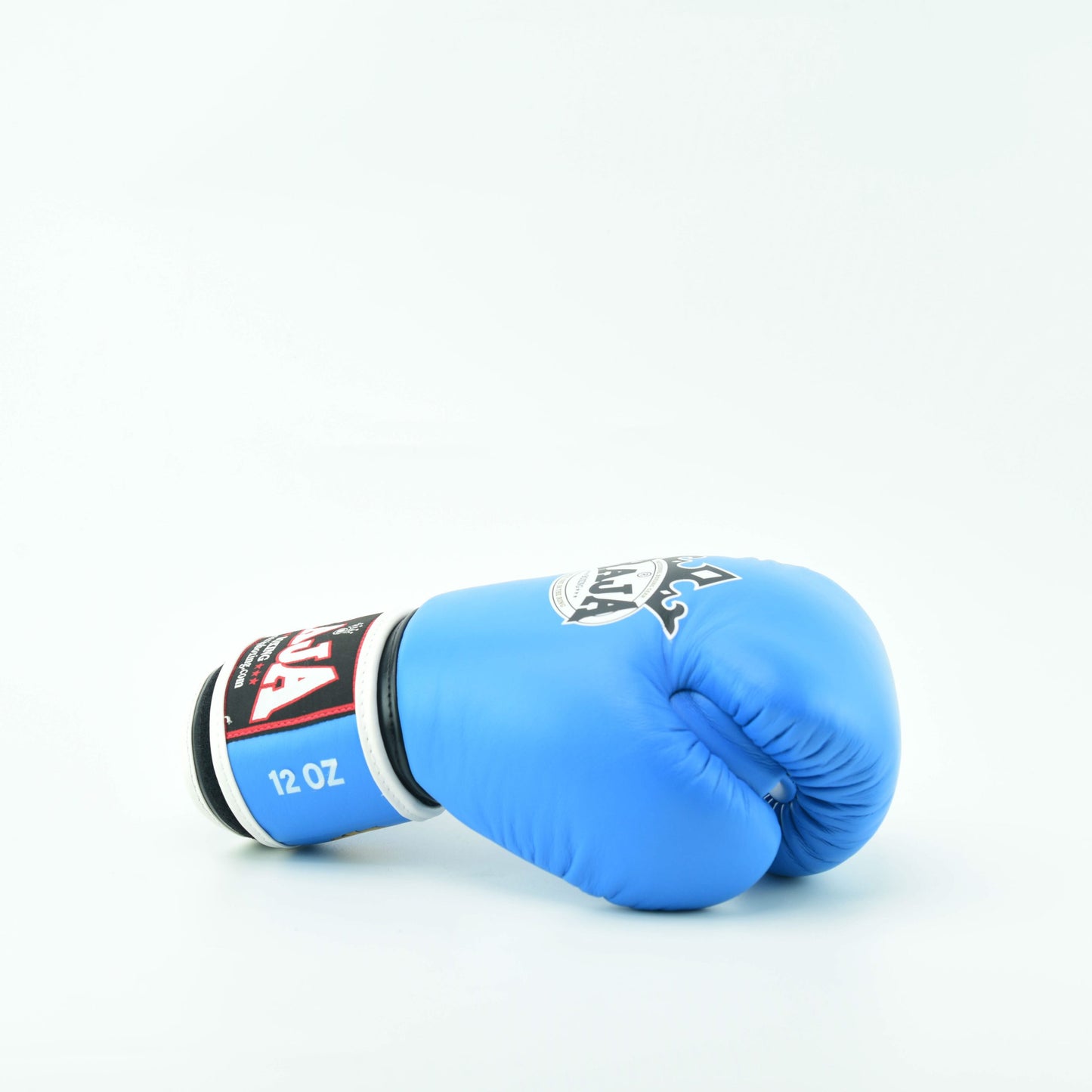 Raja V1 Boxing Gloves - Light Blue